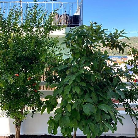 Citrus Apartment Αργοστόλι Εξωτερικό φωτογραφία