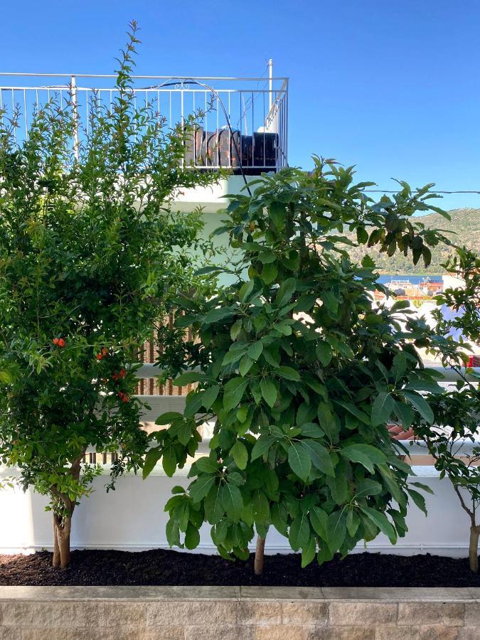 Citrus Apartment Αργοστόλι Εξωτερικό φωτογραφία